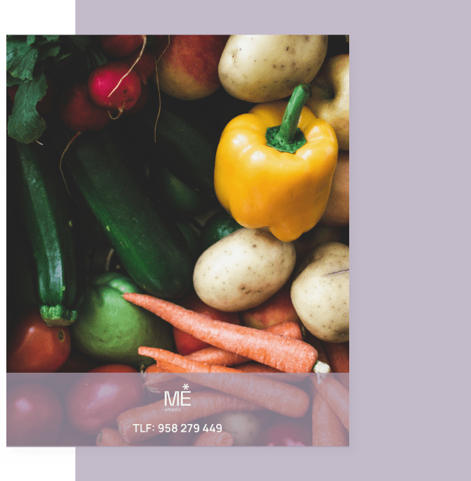 banner para nutrición