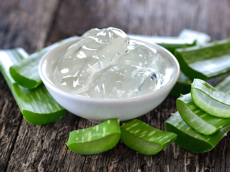 propiedades de la hoja del aloe vera